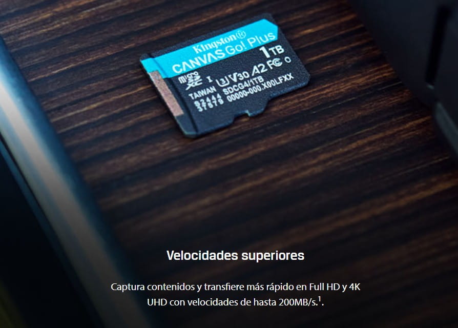 Memoria Kingston Micro Sd 256gb Canvas Go! Plus up to 200MB/s Read Class 10 Con Adaptador SDCG4/256GB
