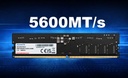 Memoria Ram Adata 16gb DDR5 5600mhz AD5U560016G-S