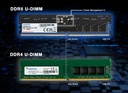 Memoria Ram Adata 16gb DDR5 5600mhz AD5U560016G-S