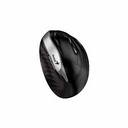 Mouse Genius Ergo 8250S Wireless Vertical Silent Silver Grey USB 31030031401