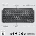 Teclado Logitech Mx Keys Mini Inalambrico con iluminacion Negro 920-010476