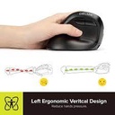 Mouse Delux M618Mini ZD Zurdos RGB Wireless-BT-Recargable 1000MA Vertical Ergonomico